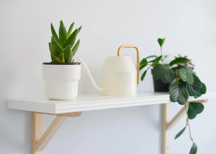 Сasa de vacaciones White Medano Apartment. New With Fast Wifi *